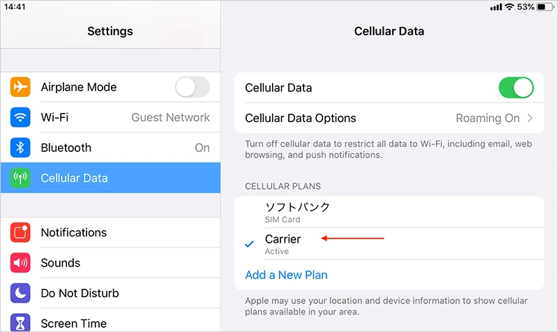Confirm Cellular Data Usage